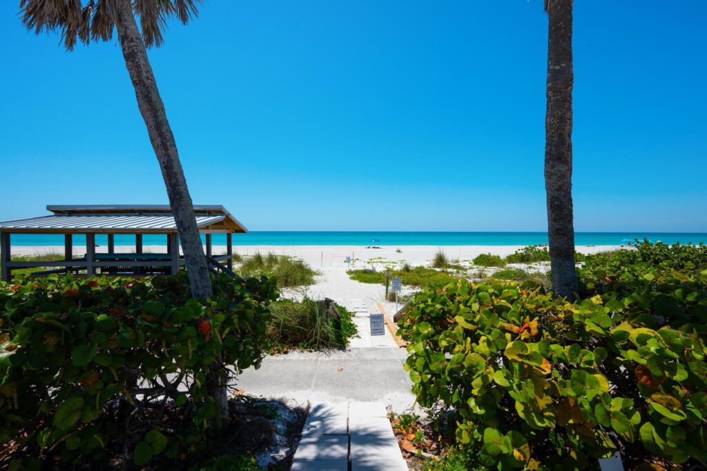 Sunny beach view framed by palm trees and greenery.