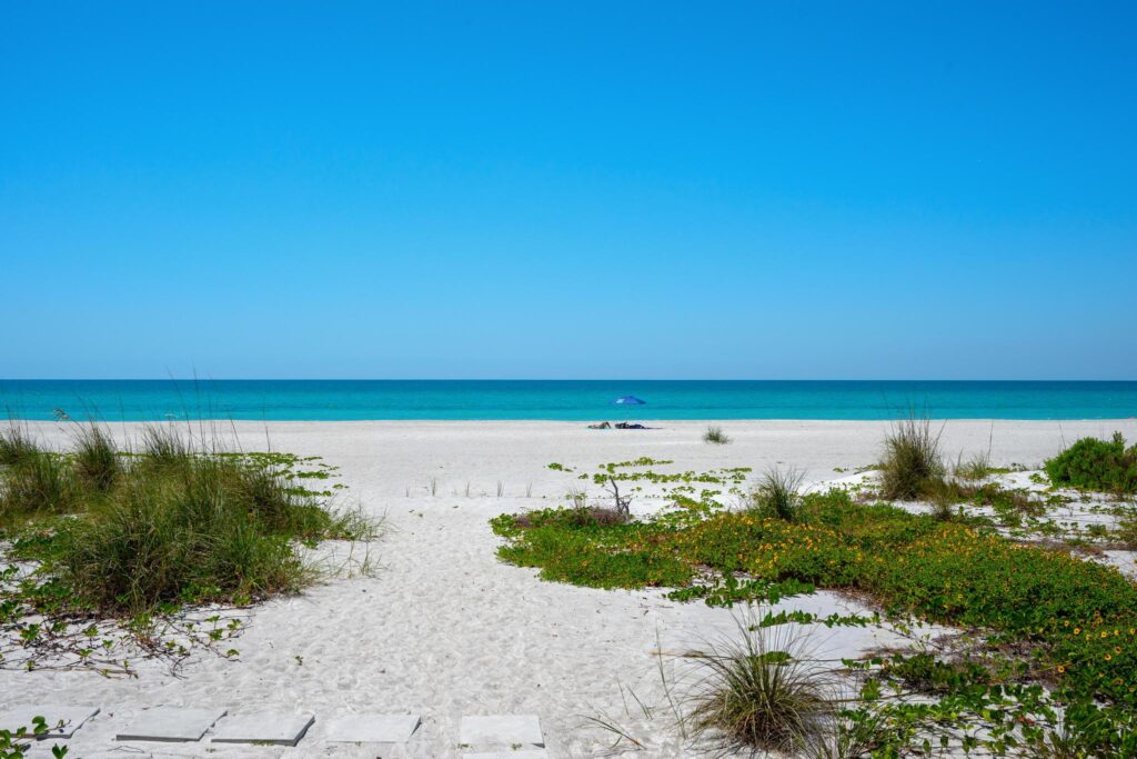 A serene beach with white sand, sparse vegetation, and a clear blue sky.